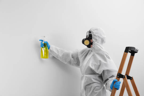 Mold Remediation for Vacation Homes in Grayslake, IL